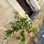 Maison De Village Renovee ! Nyaraló