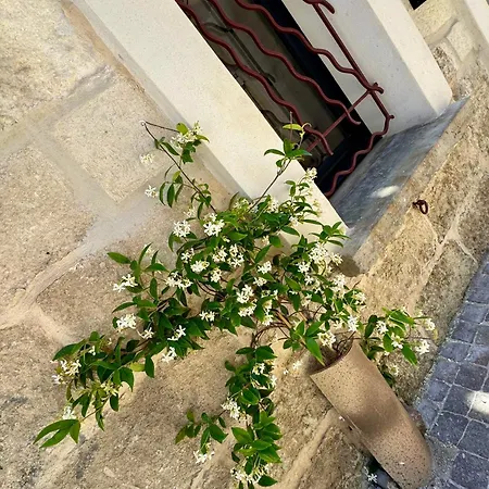 Maison De Village Renovee ! Ferienhaus